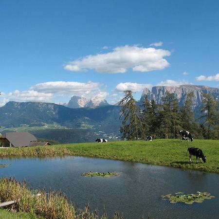 Unterpfaffstall-Hof Collalbo Kültér fotó