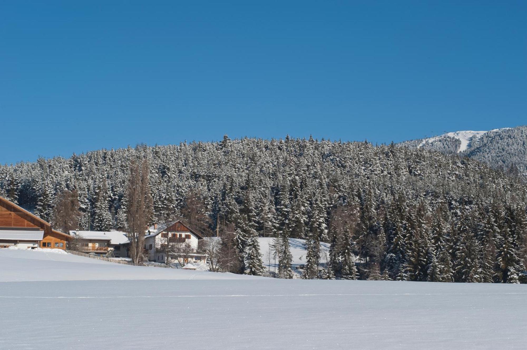 Unterpfaffstall-Hof Collalbo Kültér fotó