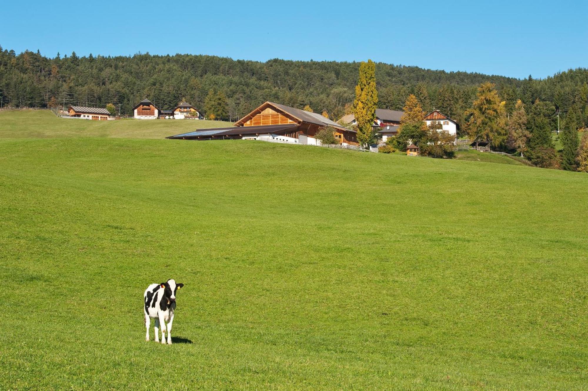 Unterpfaffstall-Hof Collalbo Kültér fotó